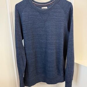 Men's Blue Champion Sweater